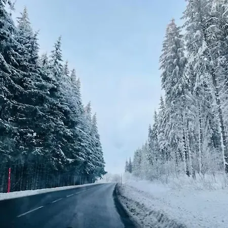 Domek alpejski Chalet 77 Proche S Besse Égliseneuve-dʼEntraigues