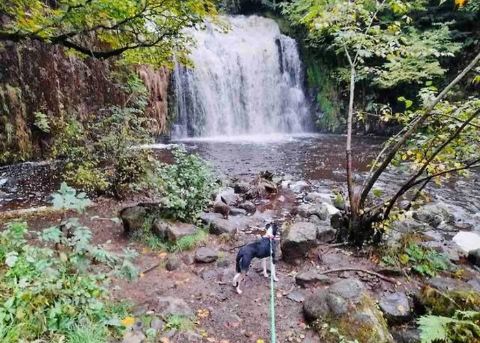 Chalet Chalet 77 Proche S Besse Egliseneuve-d'Entraigues